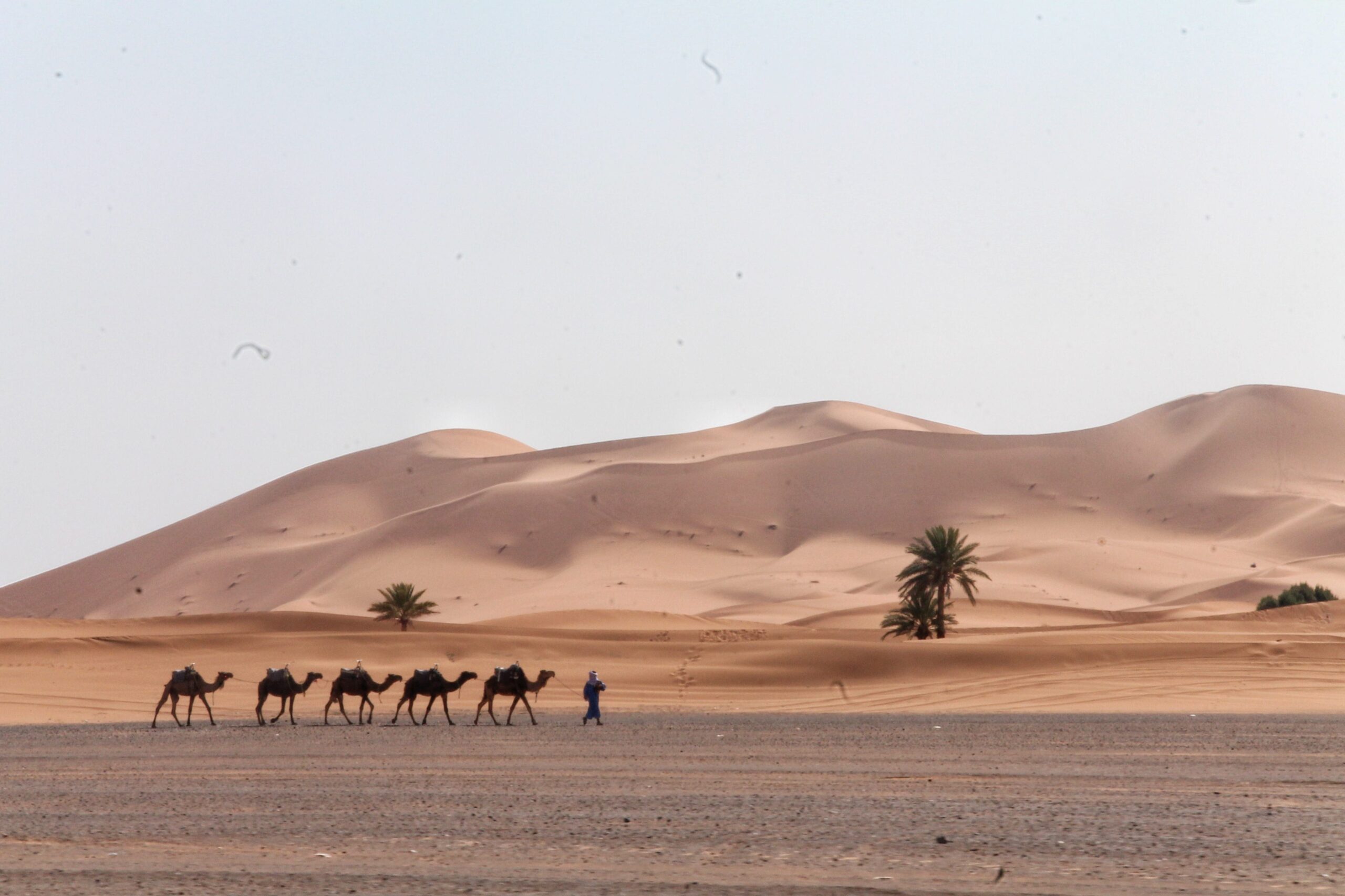 Al momento stai visualizzando Alla scoperta del Marocco, terra di colori e sapori