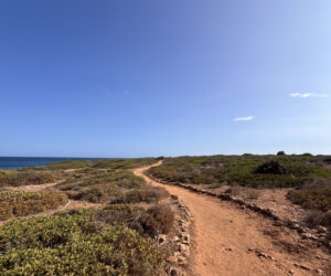 Oggi Stay. è in viaggio nell’Isola Bastarda, tra storia, natura e cibo. Indovina quale?